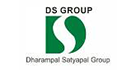 DS Group Logo